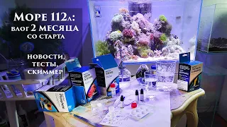 Море 112л:  Все скоро умрет?! Тест на щелочность и ужас в скиммере!