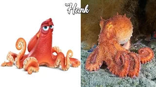 Finding Dory Characters in Real Life