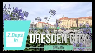 7 DAYS IN DRESDEN, GERMANY | CITY CENTER | SIGHTSEEING TOUR | MARITIM HOTEL | Jernie