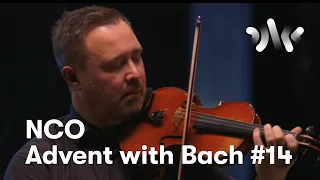 J. S. Bach: Violin Sonata No. 3 in C Major, III. Largo // Bård Monsen, violin