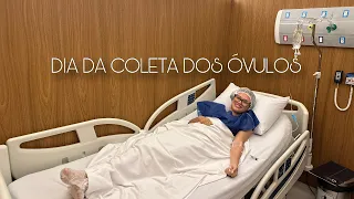 COLETA DOS ÓVULOS - Suelenpdn