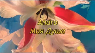 Andro – Моя душа (lyrics)