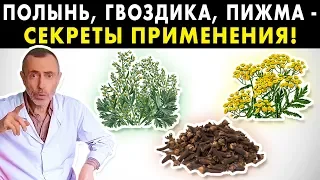 ПОЛЫНЬ, ГВОЗДИКА, ПИЖМА - СЕКРЕТЫ ПРИМЕНЕНИЯ! Островский. Глисты, паразиты, гельминты, тройчатка.