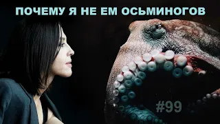 Почему я не ем осьминогов // Всё как у зверей #99