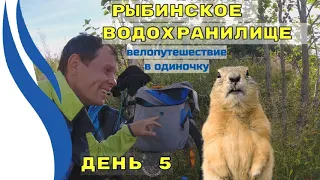 5. Велопутешествие к Рыбинскому водохранилищу.  День 5.  Дорога Вологда - Данилов. Вологодская обл.