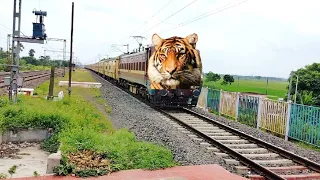 Dangerous Angry Tiger Headed Black Diamond Express Furious Moving Out At Station