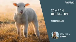 TAMRON Quick-Tipps – Tierfotografie mit Long-Nong Huang und 150-500mm F/5-6.7 Di III VC VXD