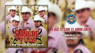 Sangre Felina - A Que Te Sabe El Amor Sin Mi ( Audio Oficial )