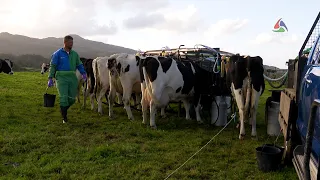 Ordenha móvel garante uma pastagem com melhores condições - Terra dos Bravos 8