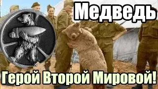 История о Медведе Герое, Который Воевал на Войне Медведю поставили памятник