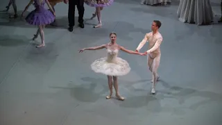 30.1.2019 “Sleeping Beauty” Curtain Call，Angelina Vorontsova，Leonid Sarafanov