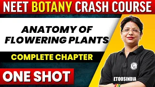 ANATOMY OF FLOWERING PLANTS in 1 shot - All Concepts, Tricks & PYQ's Covered | NEET | ETOOS India