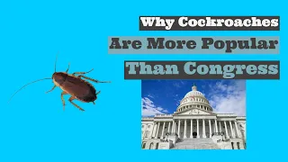 Why Cockroaches are More Popular than Congress