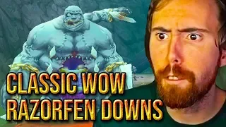 Asmongold FIRST Razorfen Downs Dungeon Clear - Classic WoW