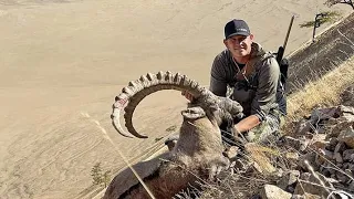 Recorded Ibex in Hussain Gojal Hunza  #ibex #hunting #wildlife #trophyhunter #gilgitbaltistan #viral