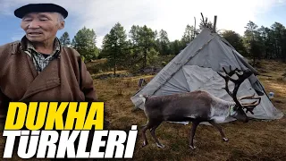 DUKHA TURKLAR va shimol bug'ulari |  5 kunlik sayohat!