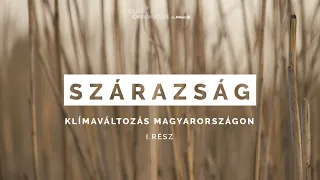 Is there drought in Hungary? | Climate change in Hungary 1. episode