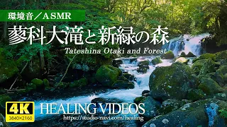 [Environmental sound / ASMR] Scenic spots in Japan / Tateshina Otaki and fresh green forest
