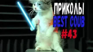 #ПРИКОЛЫ за Июнь 2018 | BEST COUB 2018 ▶ 43