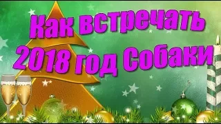 Как встречать 2018 год Собаки