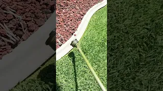 Edging a lawn  wiro sthil