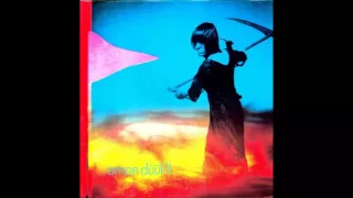 Amon Düül II  - Archangels Thunderbird