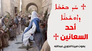 ♱ ܚܰܕ̥ ܒܫܰܒܳܐ ܕܐܘܫܰܥܢ̈ܶܐ ♱أحد السعانين ♰