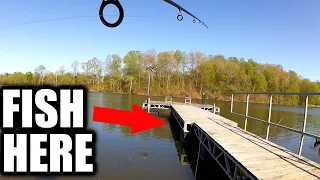 Where To Find Bluegill Fishing From Shore - Fishing Docks and Trees