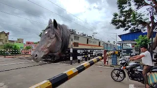 Extreme Aggressive MAD Horse Headed Jan Shatabdi Express Deadly Moving Throughout Railgate