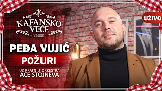 PEDJA VUJIC - POZURI | UZIVO | (ORK. ACA STOJNEV) | KAFANSKO VECE | 2023