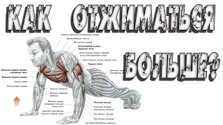 Как увеличить количество отжиманий от пола? Как отжиматься больше