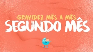 2 meses de gravidez- Sintomas e tamanho da barriga