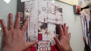 Album Snow and the City  présentation du projet