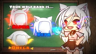 ✨ Alpha wolf 🐺 || meme || gacha life || 가챠라이프 {Original concept?}