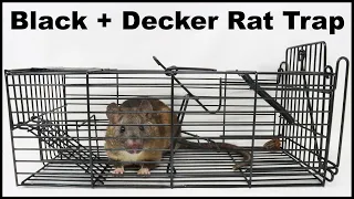 Best Cage Style Trap I have Ever Seen - Black+Decker Trap Catches Rats & Squirrels. Mousetrap Monday