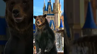 Florida is WILD! A Black Bear on the loose at Magic Kingdom in Walt Disney World!!