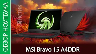 Обзор ноутбука MSI Bravo 15 A4DDR-029RU - сможет ли птица потягаться с драконом?