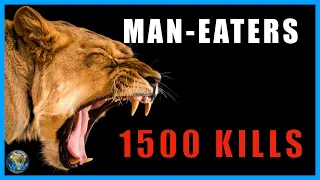 The Man-Eating Lions of Njombe