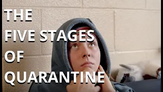 THE FIVE STAGES OF QUARANTINE