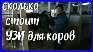 сколько стоит УЗИ//размер рулонов сена//навозоудаление//Марфа стала Арфа.