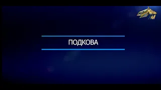 ПОДКОВА. 23 ЯНВАРЯ 2021 года. 17:00