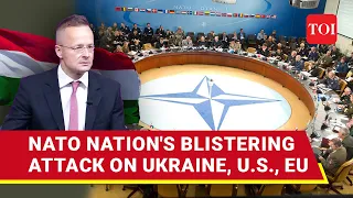 'Won't Back Ukraine': Putin Wins NATO Nation's Support; Blow To Zelensky, Allies U.S, UK, EU | Watch