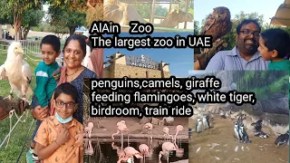 Al Ain Zoo II Abu Dhabi II UAE IIFamily vlog(A Day inside Zoo)#alainzoo #animal  #uae #malayalam #kl