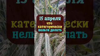 15 апреля Великая суббота, праздник Тит Ледолом. Что нельзя делать. Народные традиции приметы