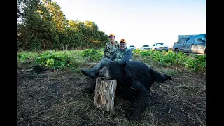 North Carolina Black Bear Hunt - Hyde County Big Bears