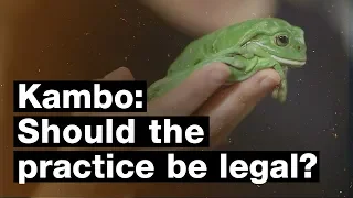 The Amazonian frog poison people swear is a miracle cure
