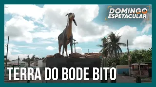 Achamos no Brasil: Renata Alves volta à cidade do bode mais famoso do país