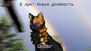 6 лун!! Я теперь Файе? | CatWar