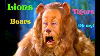 Lions and Tigers and Bears! : The Wizard of Oz (Remixed)