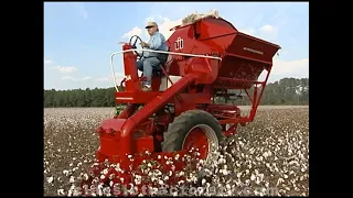 Picking Cotton With A 1961 International Harvester 314 Picker Mounted On An IH 504 Diesel Tractor